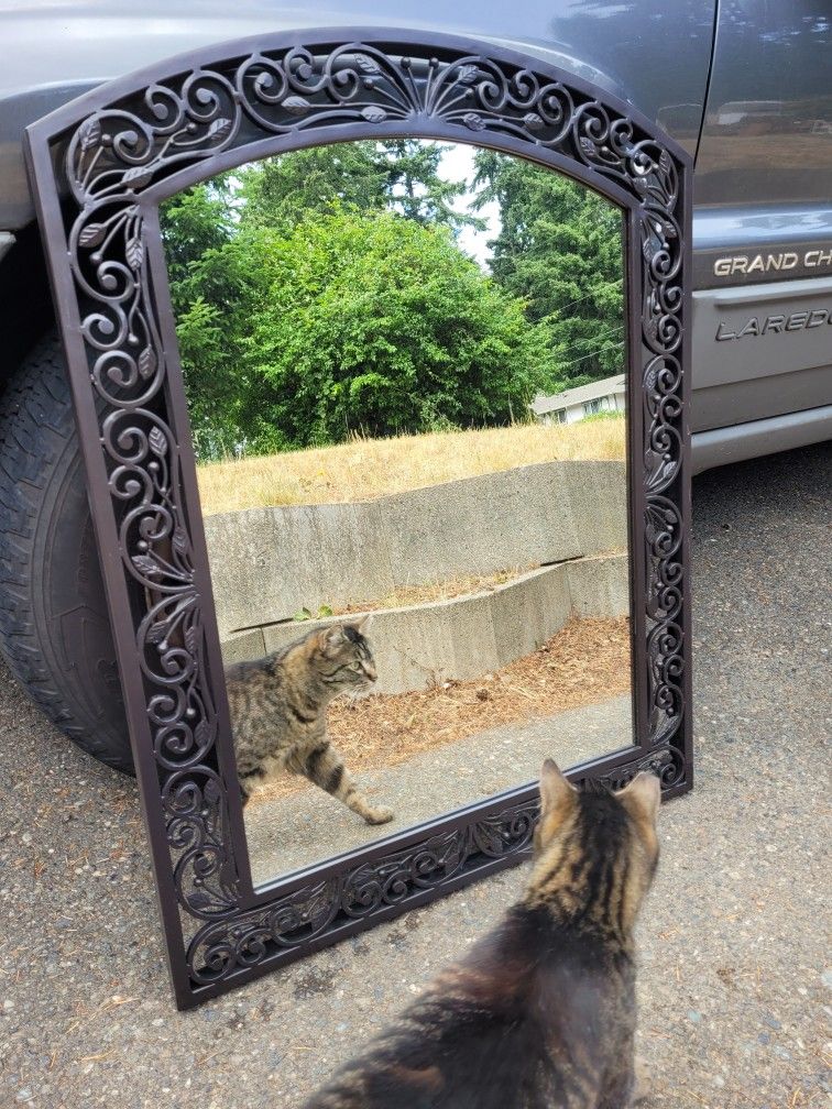 Ornate Mirror