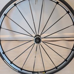Mavic Ksyrium K10 limited edition road bikewhee  very light weight front wheel with like new tires