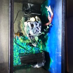 10 Gallon Aquarium Tank Without A Stand