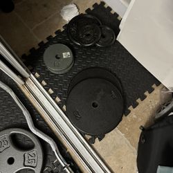 Weights, 2 Bars, and a Bar rack 