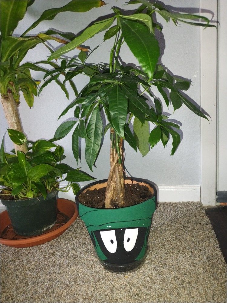 Plant Pot Marvin The Martian