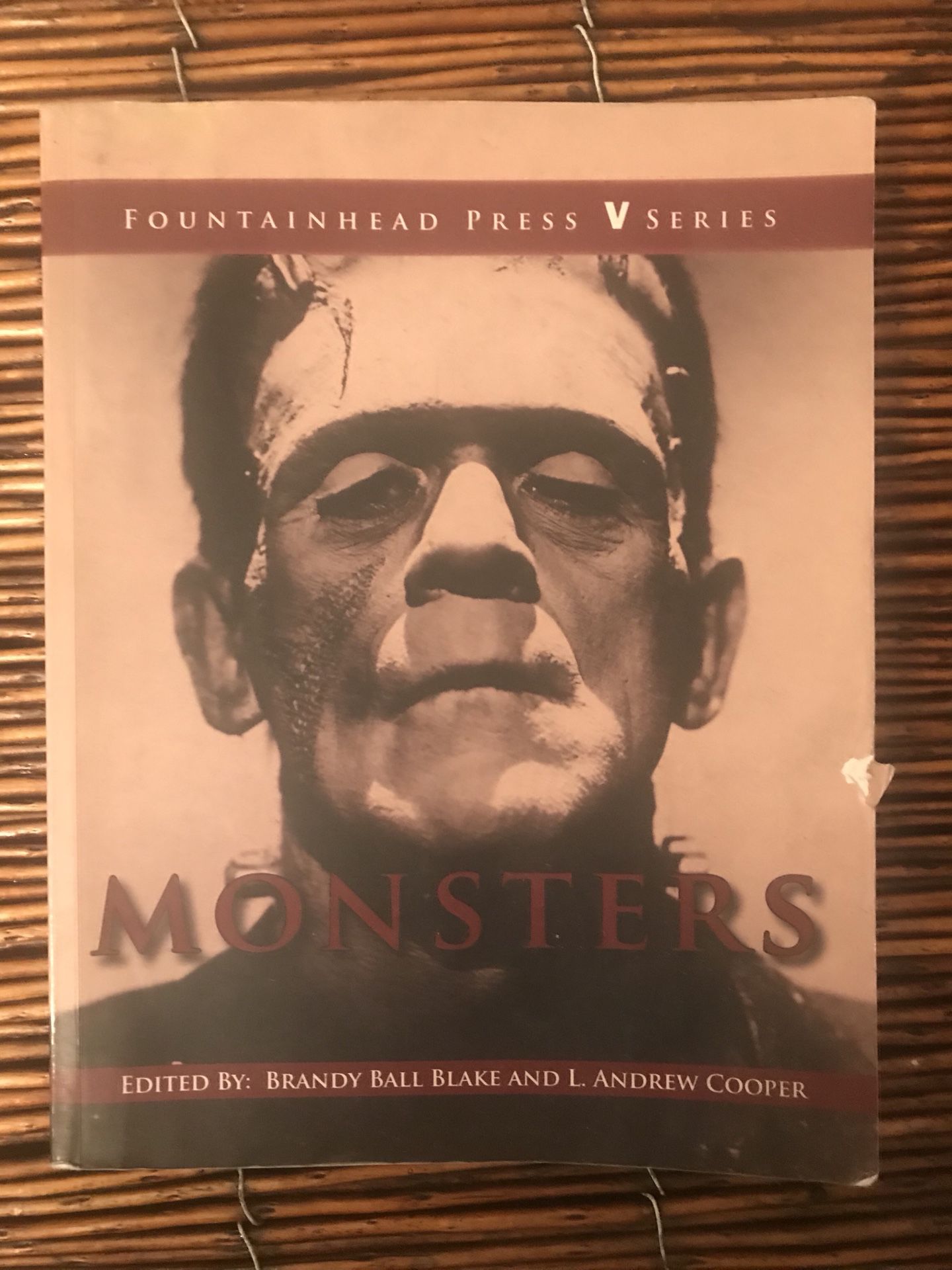 CSN ENG 101 | Monsters edited by Brandy Ball Blake and L Andrew Cooper