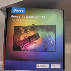 Govee Envisual TV Backlight T2 with Dual Cameras