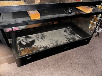Reptile enclosure both 40-50 gallon