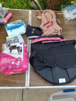Dog supplies