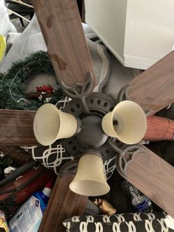 Ceiling fan