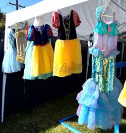 Tons of costumes