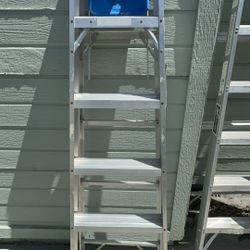 6 Ft . Ladder