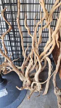 Driftwood Plants Stones 