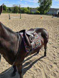 Henri de Rivel Vegan-X Junior Close Contact Saddle