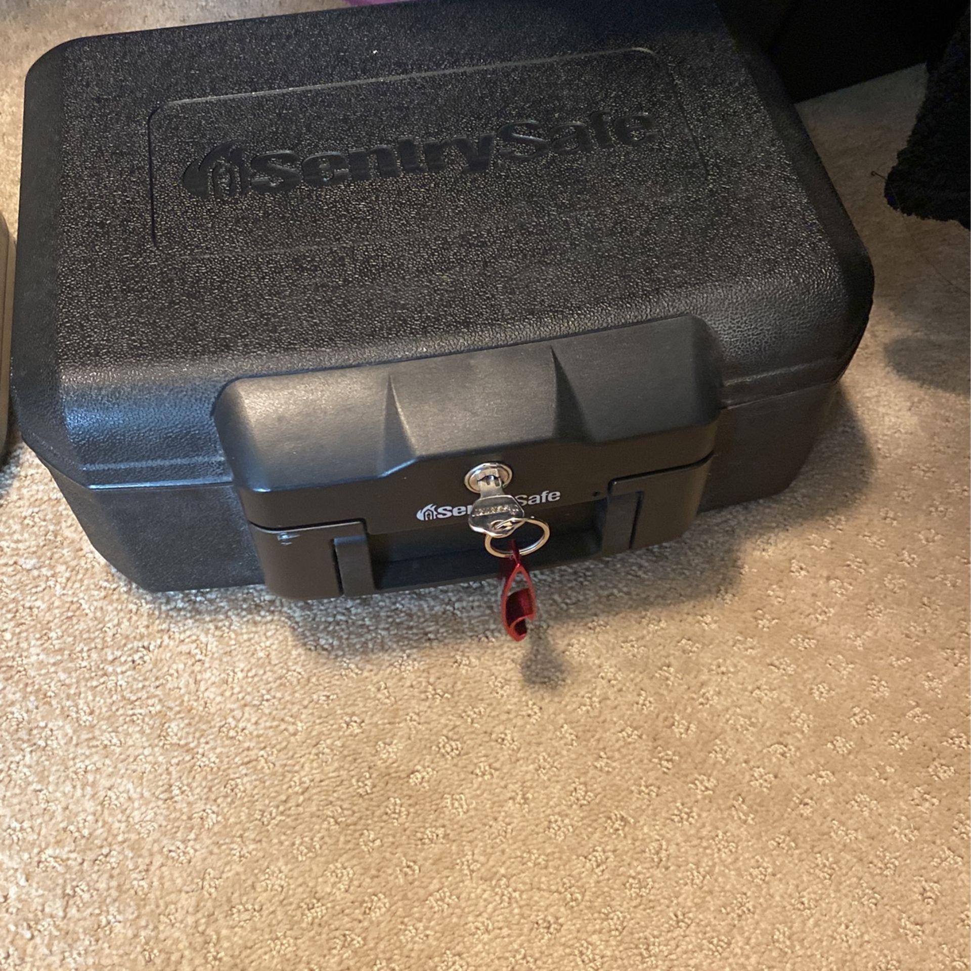 Gun Safe
