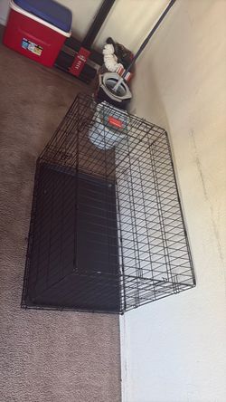 Dog kennel with extra gate