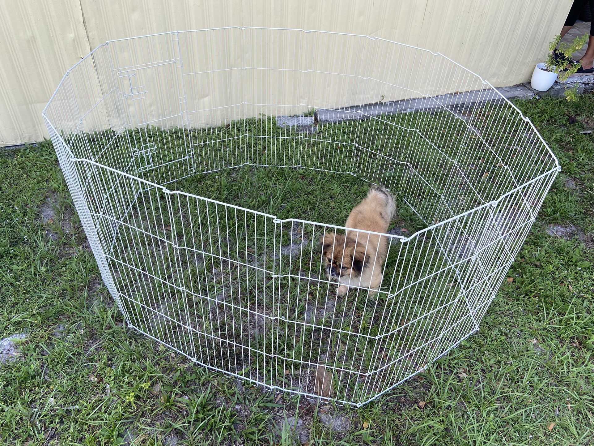 Dog Fence. Vaya para perros