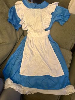 Alice in Wonderland Women’s Halloween Costume – 2 Piece – Size Large
