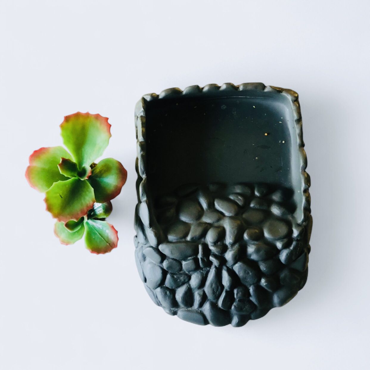 Imagitarium Reptile Habitat Plants Imagitarium Reptile Ramp Bowl.