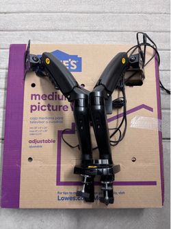 Monitors (2) and Dual Monitor Arms