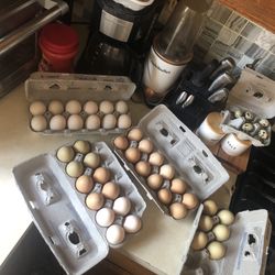 Farm Fresh Eggs