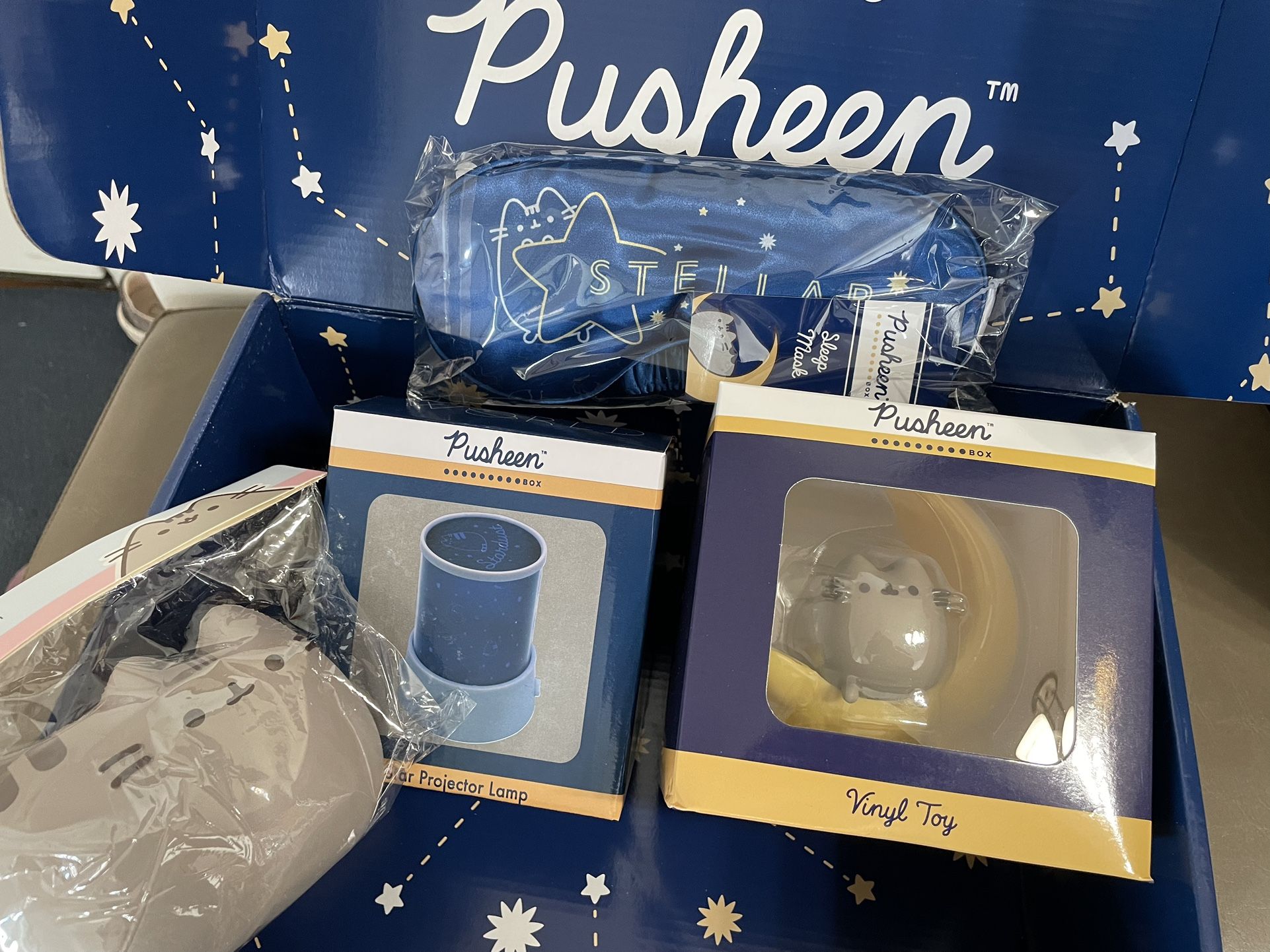 Pusheen Starry Night Box