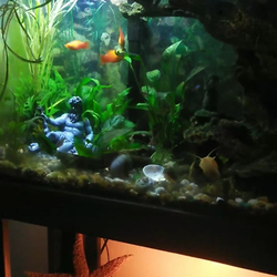 Fish tank with black stand and accessories