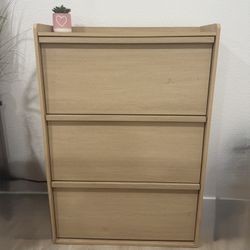 Shoe Cabinet 