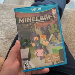 Minecraft Wii U Edition 