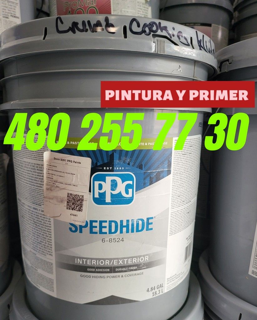 Paint Interior And Exterior 