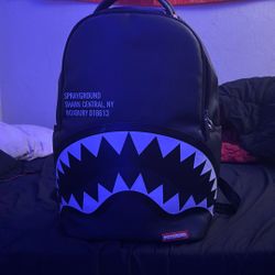 Backpack Spray Ground 