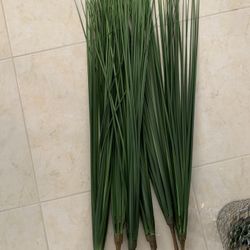 Grass Like Tall Sticks