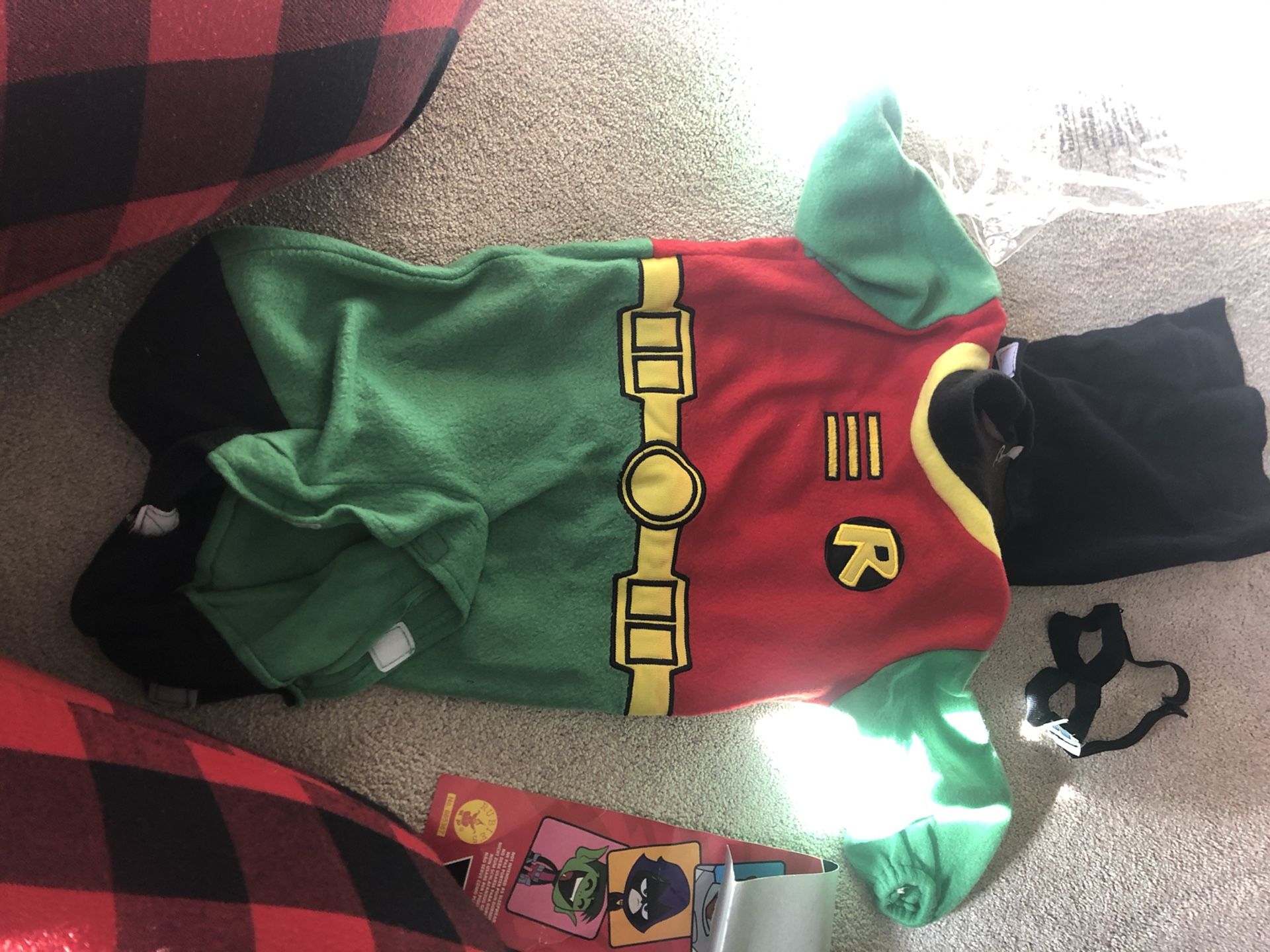 Robin costume 6-12 mos