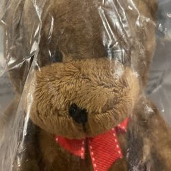 Proflowers Teddy Bear BE1653 Collectors Bear Still In Original Plastic Bag 