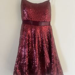 Party Dress Skater Style  New With Tags 