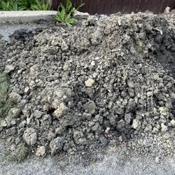 Free Soil
