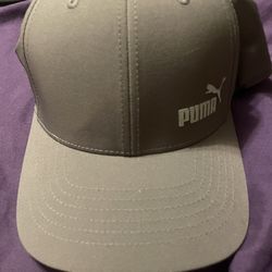 Puma Hat