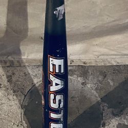 Baseball Bat $25