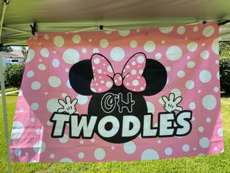 Minnie Mouse 2nd Birthday Party Backdrop