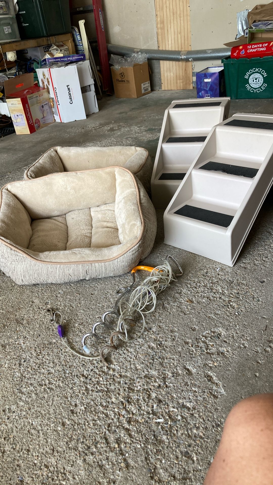 Dog Beds