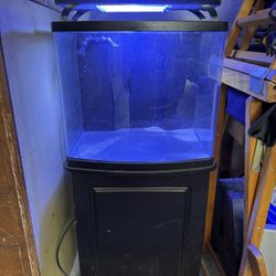 Fish Tank