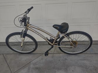 Ladies Or Girls Bike