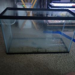 29 Gallon Tank kit