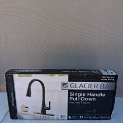 GLACIER BAY Single Handle Pull Down Kitchen Faucet 