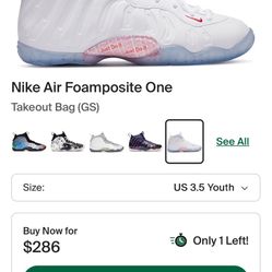 Nike Air Foamposite One Takeout bag GS 