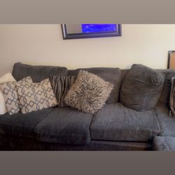 Gray comfy Sectional Couch 