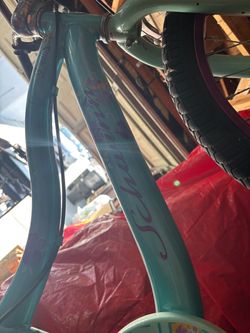 Girls 20 inch Schwinn deelight