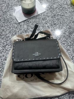 Klare Coach Purse