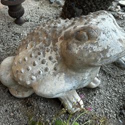 Concrete XL Frog For Garden 13”H Very Heavy 