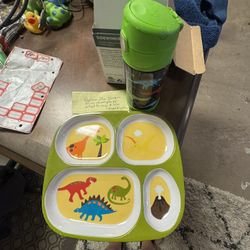 Dino Plate And FUNtainer 12-ounce vacuum insulated stainless steel water bottle with a dinosaur design. 