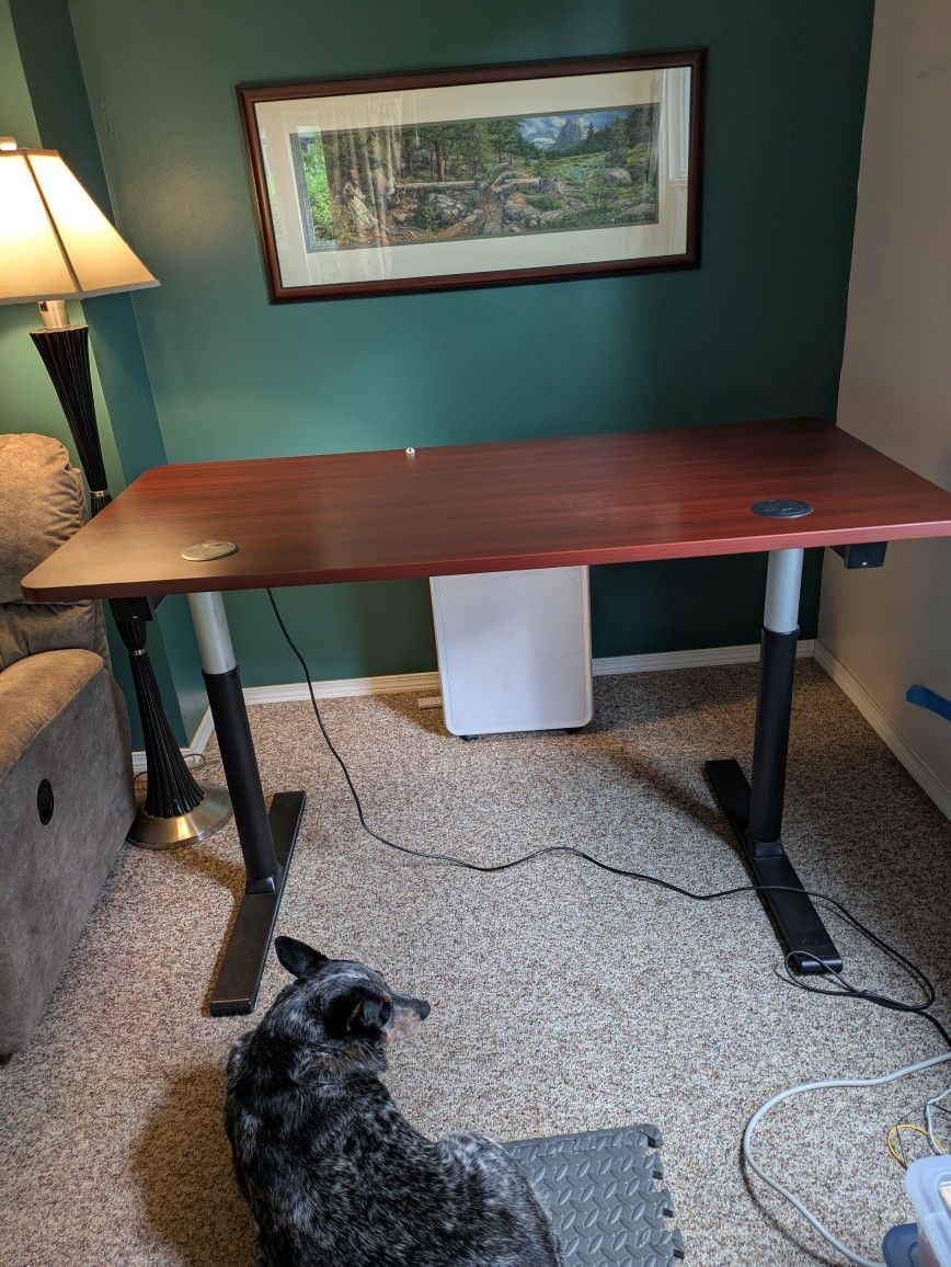 Apex Desk - Sit/Stand Desk - Adjustable Height from 28" to 46"