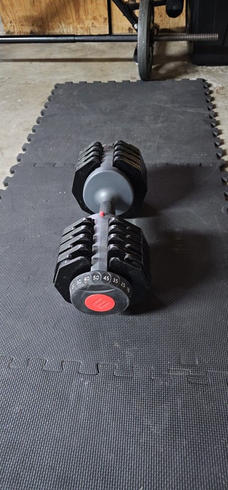 50lbs Adjustable Single Dumbbell