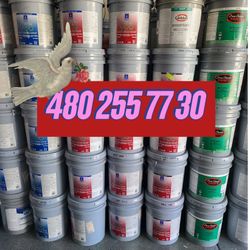 Paint For Sale 