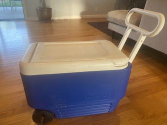 Igloo Cooler